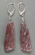 Gorgeous Agatized Dinosaur Bone (Gembone) Earrings #54081-5